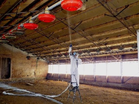 Livestock building steel sealed to halt corrosion